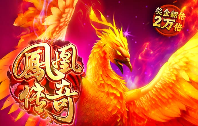 365国际速发平台