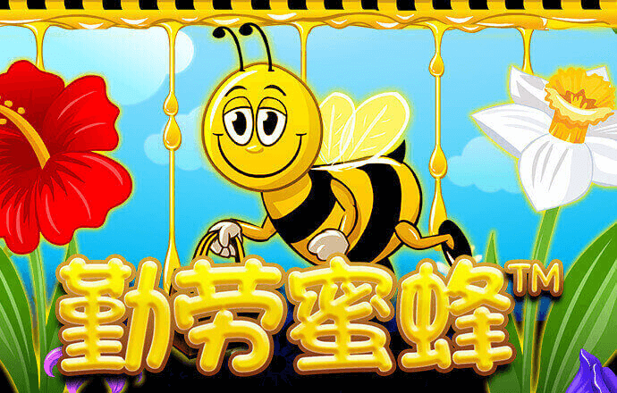 3915电子游戏k1官网版